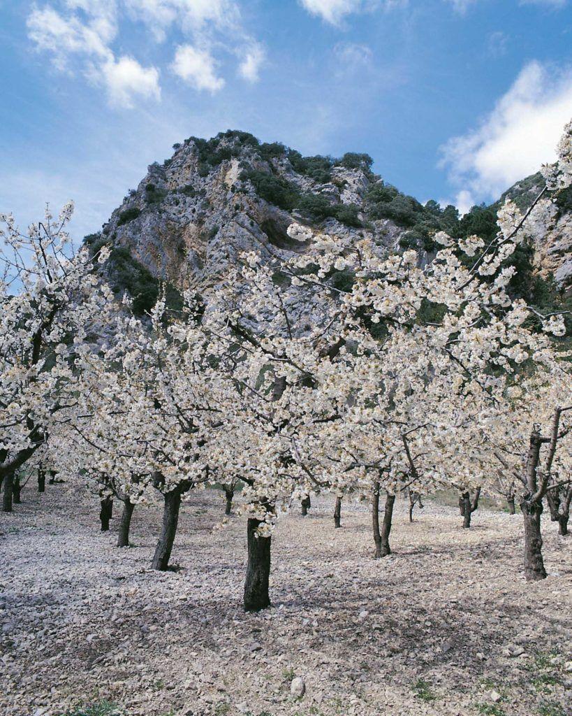 Valle de las Caderechas nevado